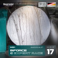 M51 BiFORCE EXPERT RACE
